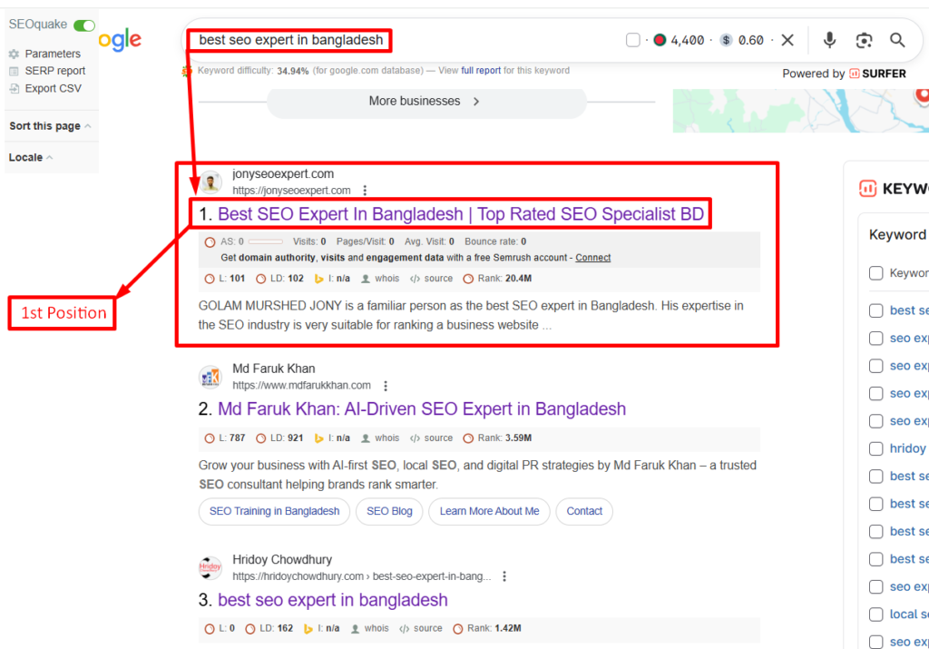 Best SEO Expert In Bangladesh Portfolio Picture.